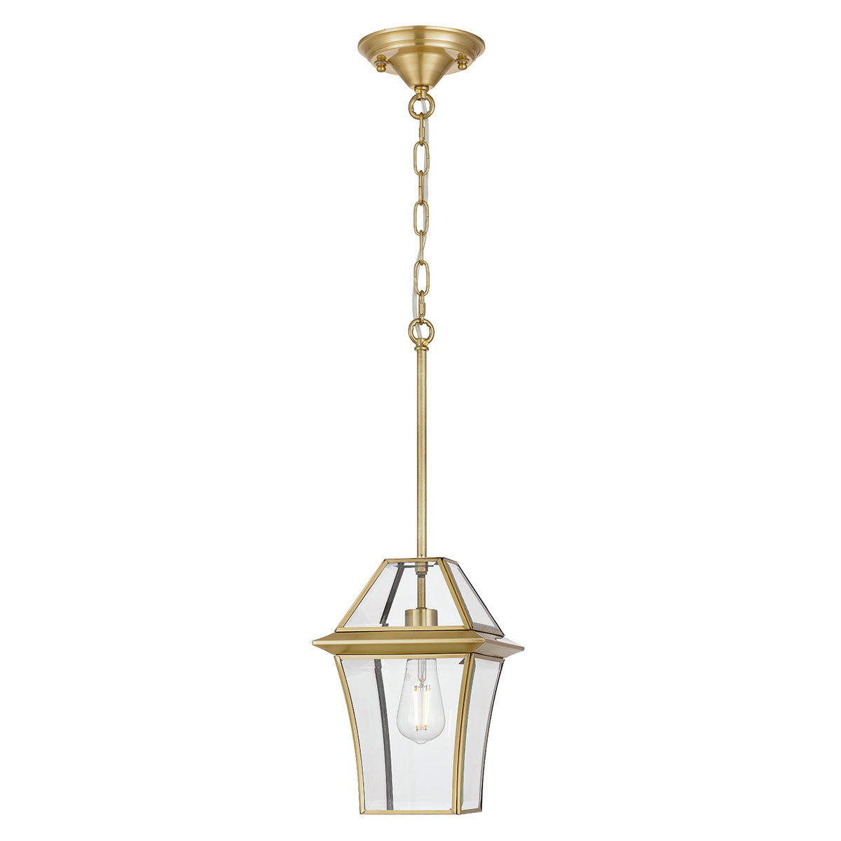 Rye 20 1 Light Exterior Pendant Clear/ Antique Brass