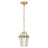 Rye 20 1 Light Exterior Pendant Clear/ Antique Brass