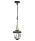 Pendolo1 1 Light Pendant Weathered Charcoal/ Washed Wood/ Clear Glass