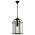 CLOVELLY 1 | Black Pendant