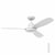 RAPTOR WHITE 48" WITH LIGHT CEILING FAN