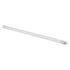 T8 LED 600mm Cool White W Fuse