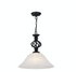 Geneva 1 Light Pendant Black - B11