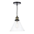 Small 1 Light Cone Pendant Antique Brass/Clear Glass - C20